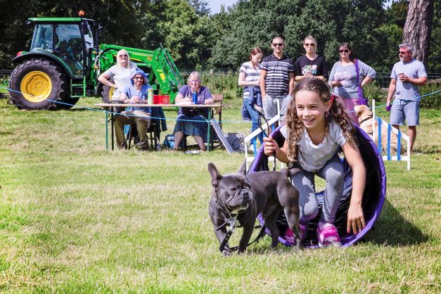 Fun Dog Show at Tatton Park Farm